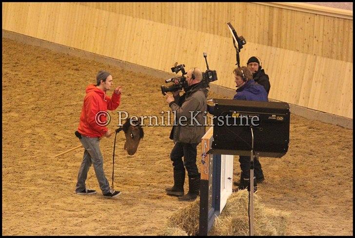 RAMASJANG LIVE PÅ VILHELMSBORG .. billede 221