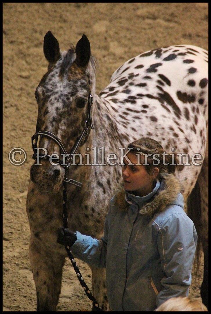 RAMASJANG LIVE PÅ VILHELMSBORG .. billede 223
