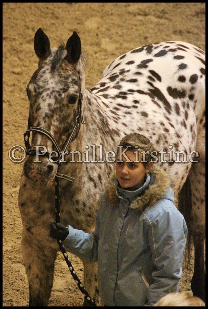 RAMASJANG LIVE PÅ VILHELMSBORG .. billede 224