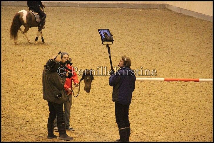 RAMASJANG LIVE PÅ VILHELMSBORG .. billede 227