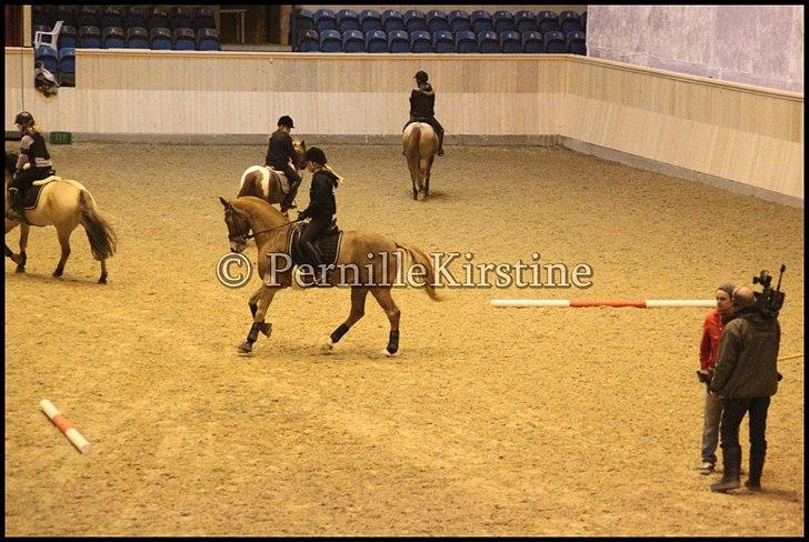 RAMASJANG LIVE PÅ VILHELMSBORG .. billede 228