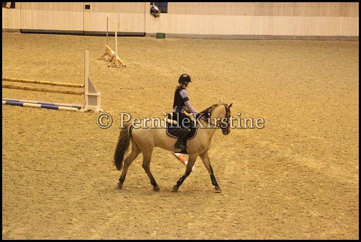 RAMASJANG LIVE PÅ VILHELMSBORG .. billede 229