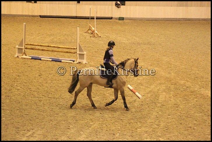 RAMASJANG LIVE PÅ VILHELMSBORG .. billede 230