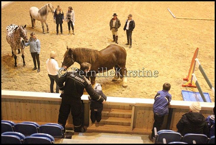 RAMASJANG LIVE PÅ VILHELMSBORG .. billede 232