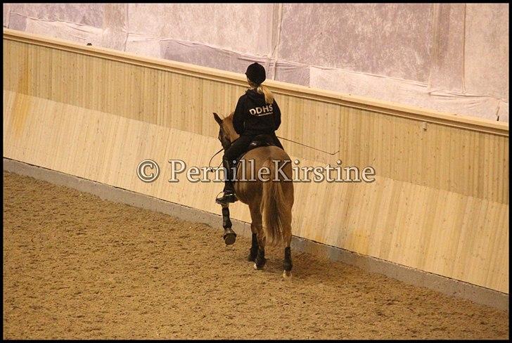 RAMASJANG LIVE PÅ VILHELMSBORG .. billede 233