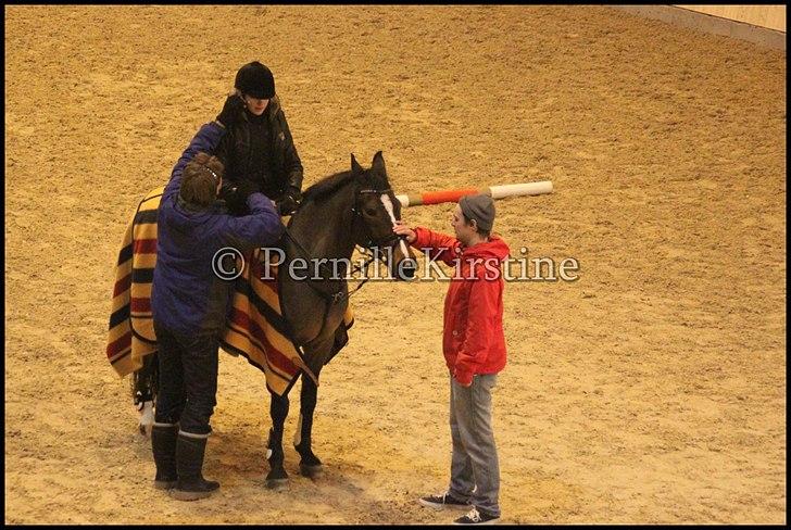 RAMASJANG LIVE PÅ VILHELMSBORG .. billede 234