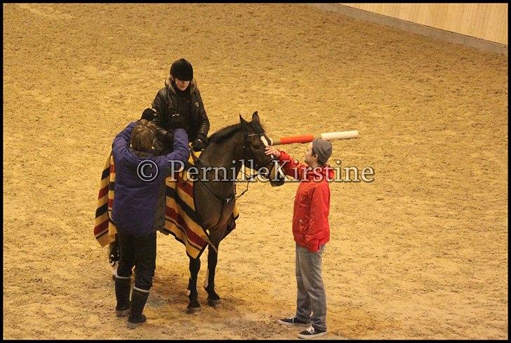 RAMASJANG LIVE PÅ VILHELMSBORG .. billede 235