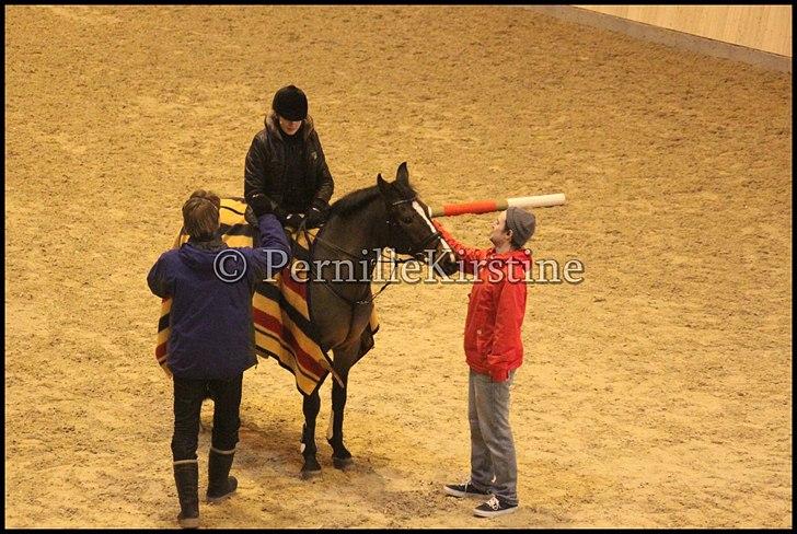 RAMASJANG LIVE PÅ VILHELMSBORG .. billede 236