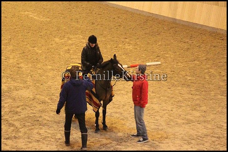 RAMASJANG LIVE PÅ VILHELMSBORG .. billede 237