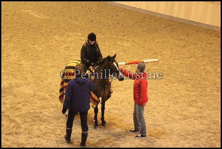 RAMASJANG LIVE PÅ VILHELMSBORG .. billede 238