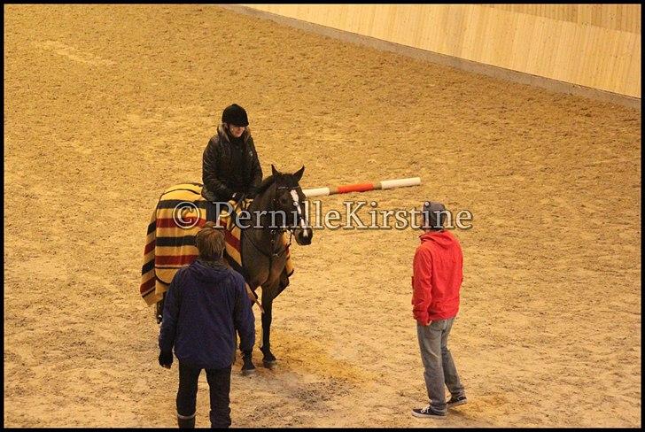 RAMASJANG LIVE PÅ VILHELMSBORG .. billede 239