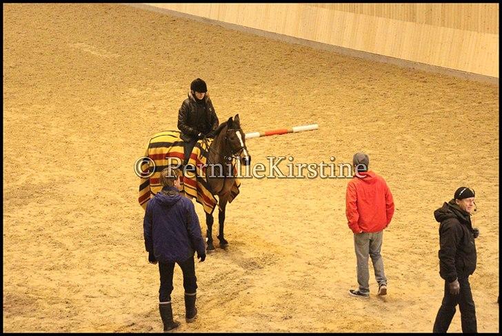 RAMASJANG LIVE PÅ VILHELMSBORG .. billede 240