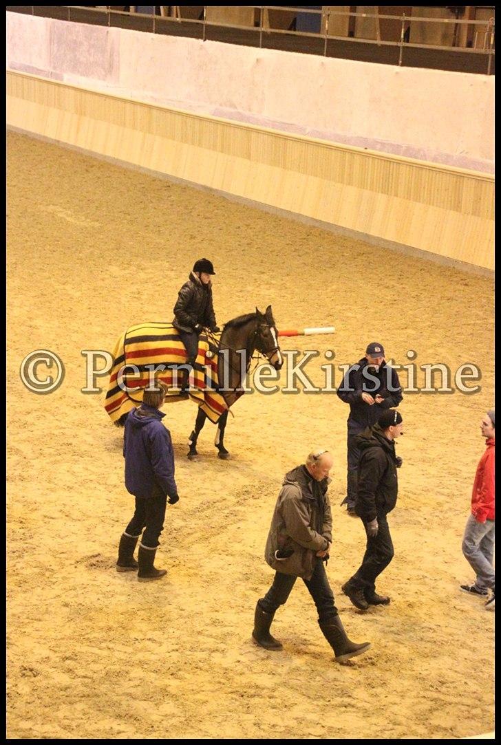 RAMASJANG LIVE PÅ VILHELMSBORG .. billede 241