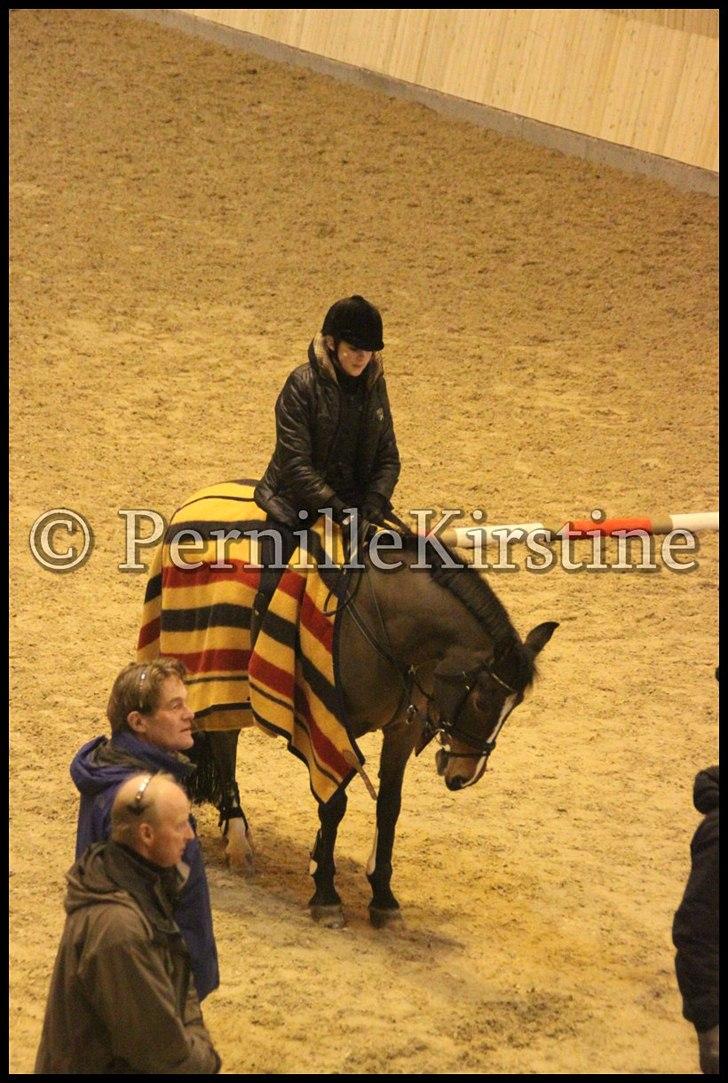 RAMASJANG LIVE PÅ VILHELMSBORG .. billede 242