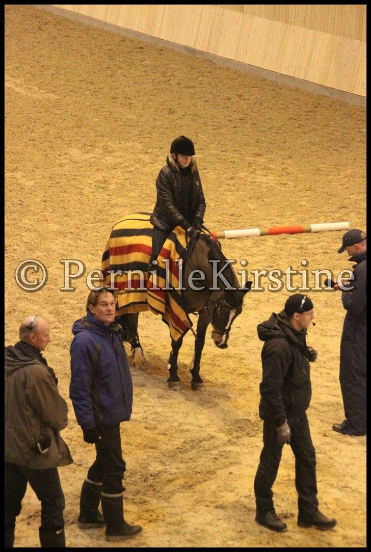 RAMASJANG LIVE PÅ VILHELMSBORG .. billede 243