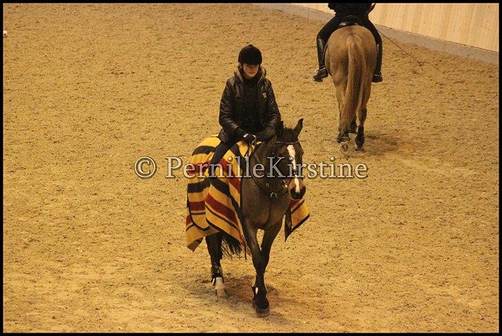 RAMASJANG LIVE PÅ VILHELMSBORG .. billede 244