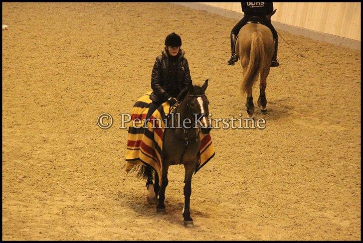 RAMASJANG LIVE PÅ VILHELMSBORG .. billede 245