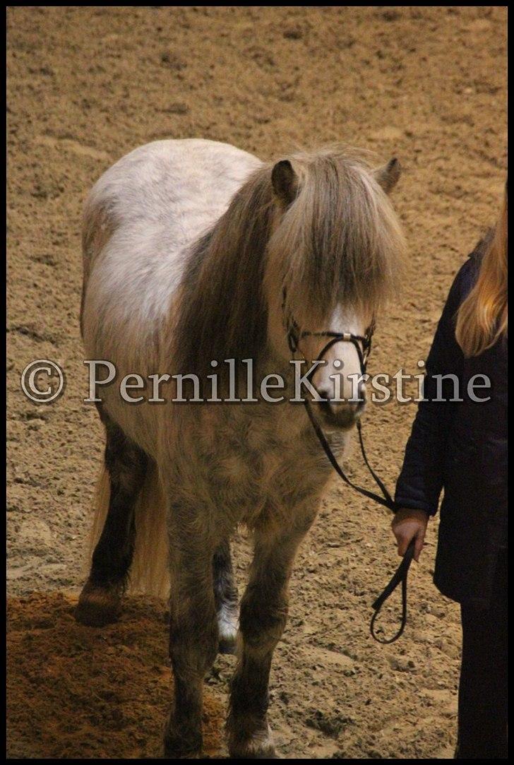 RAMASJANG LIVE PÅ VILHELMSBORG .. billede 246