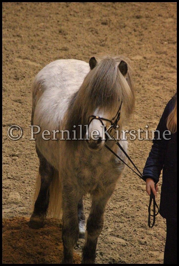RAMASJANG LIVE PÅ VILHELMSBORG .. billede 247