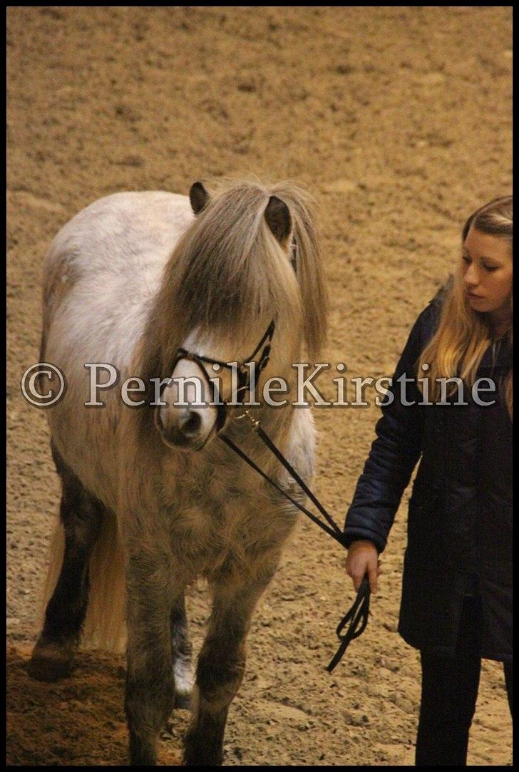 RAMASJANG LIVE PÅ VILHELMSBORG .. billede 248