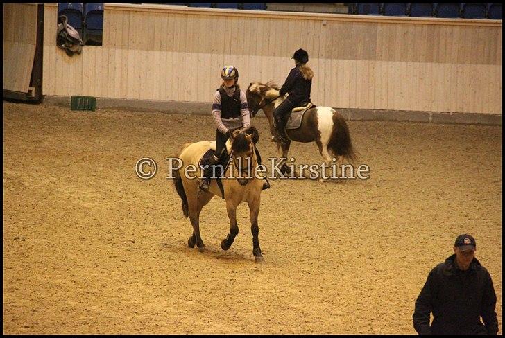 RAMASJANG LIVE PÅ VILHELMSBORG .. billede 249