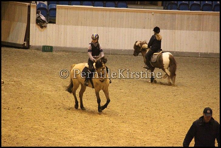 RAMASJANG LIVE PÅ VILHELMSBORG .. billede 250