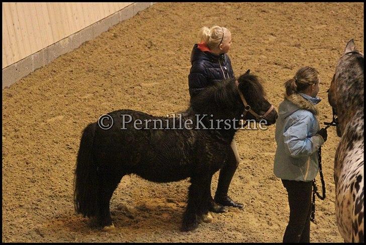 RAMASJANG LIVE PÅ VILHELMSBORG .. billede 251