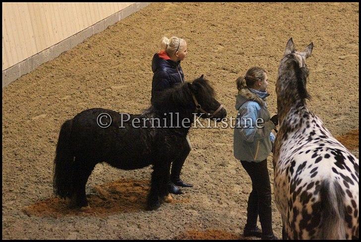 RAMASJANG LIVE PÅ VILHELMSBORG .. billede 252