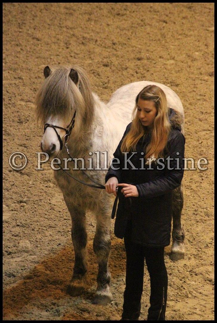 RAMASJANG LIVE PÅ VILHELMSBORG .. billede 253