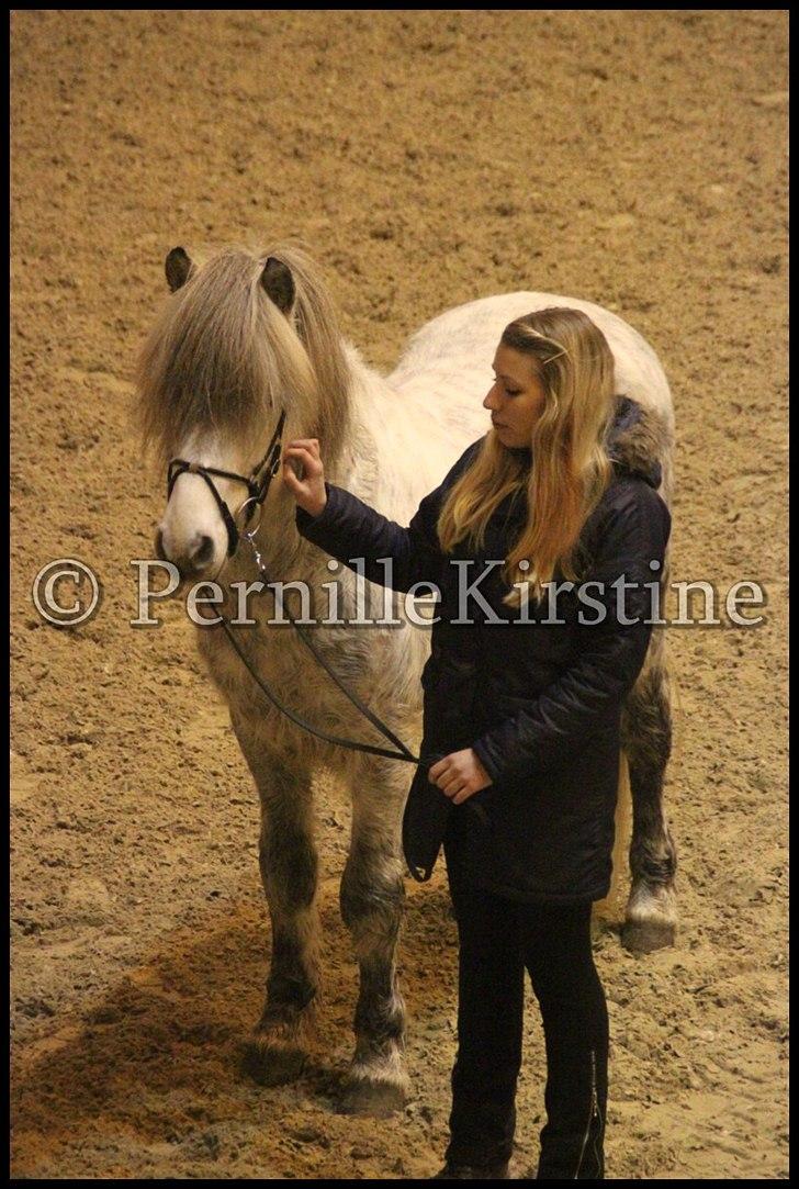 RAMASJANG LIVE PÅ VILHELMSBORG .. billede 254