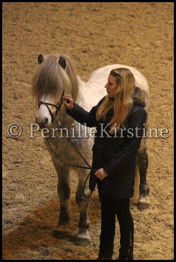 RAMASJANG LIVE PÅ VILHELMSBORG .. billede 255