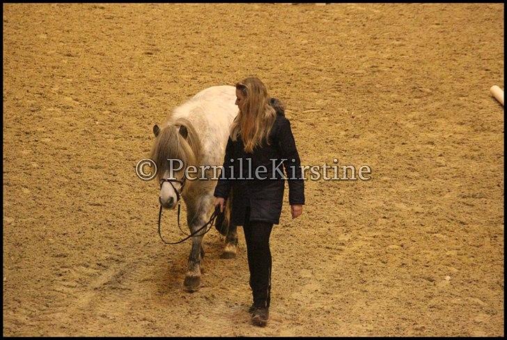 RAMASJANG LIVE PÅ VILHELMSBORG .. billede 256