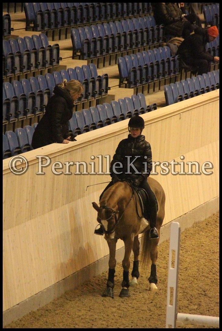 RAMASJANG LIVE PÅ VILHELMSBORG .. billede 257