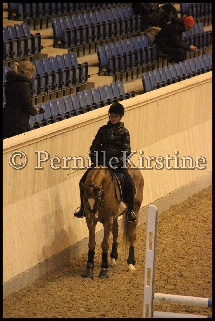 RAMASJANG LIVE PÅ VILHELMSBORG .. billede 258