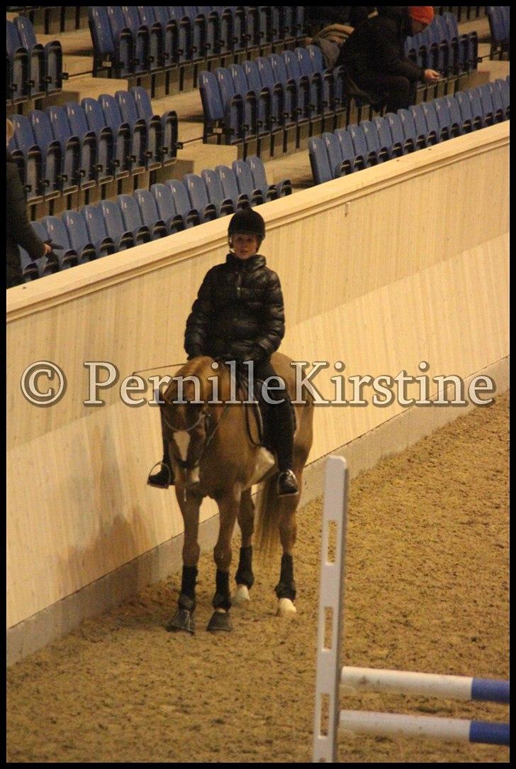 RAMASJANG LIVE PÅ VILHELMSBORG .. billede 259