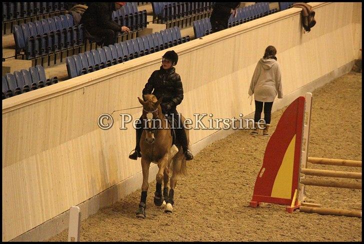 RAMASJANG LIVE PÅ VILHELMSBORG .. billede 260