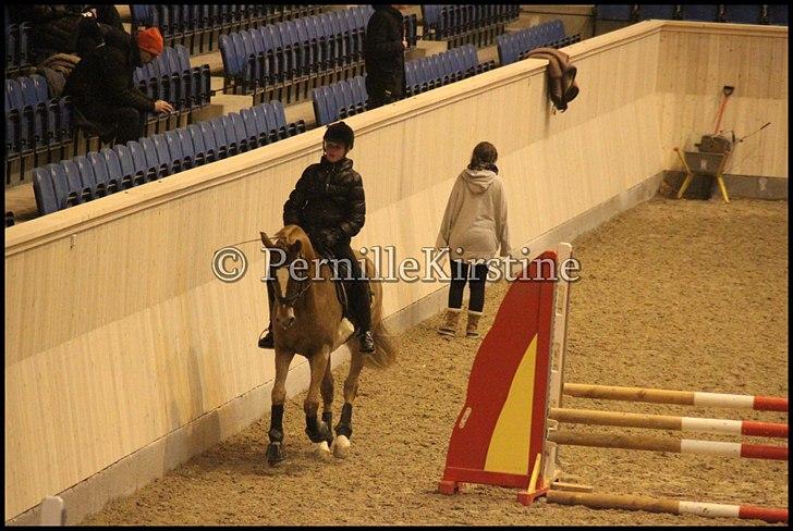 RAMASJANG LIVE PÅ VILHELMSBORG .. billede 261