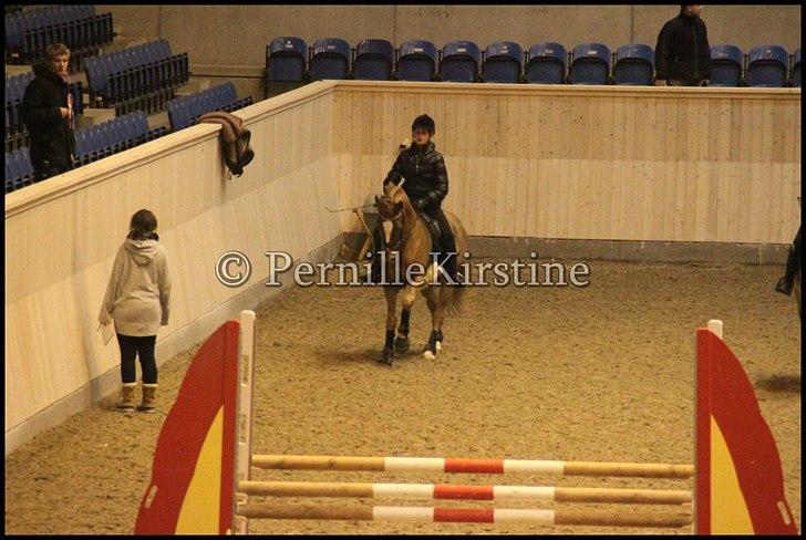 RAMASJANG LIVE PÅ VILHELMSBORG .. billede 262