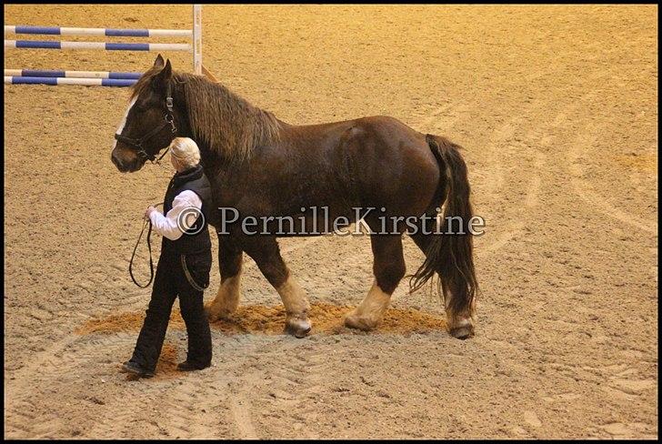 RAMASJANG LIVE PÅ VILHELMSBORG .. billede 263