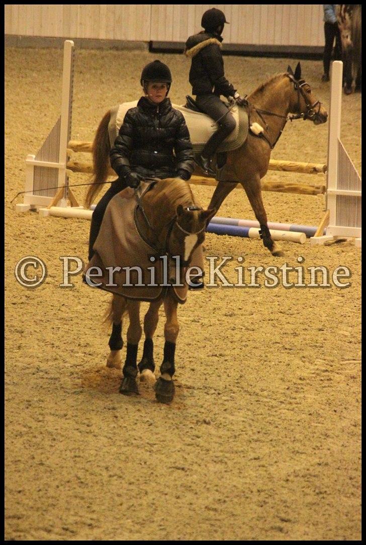 RAMASJANG LIVE PÅ VILHELMSBORG .. billede 264