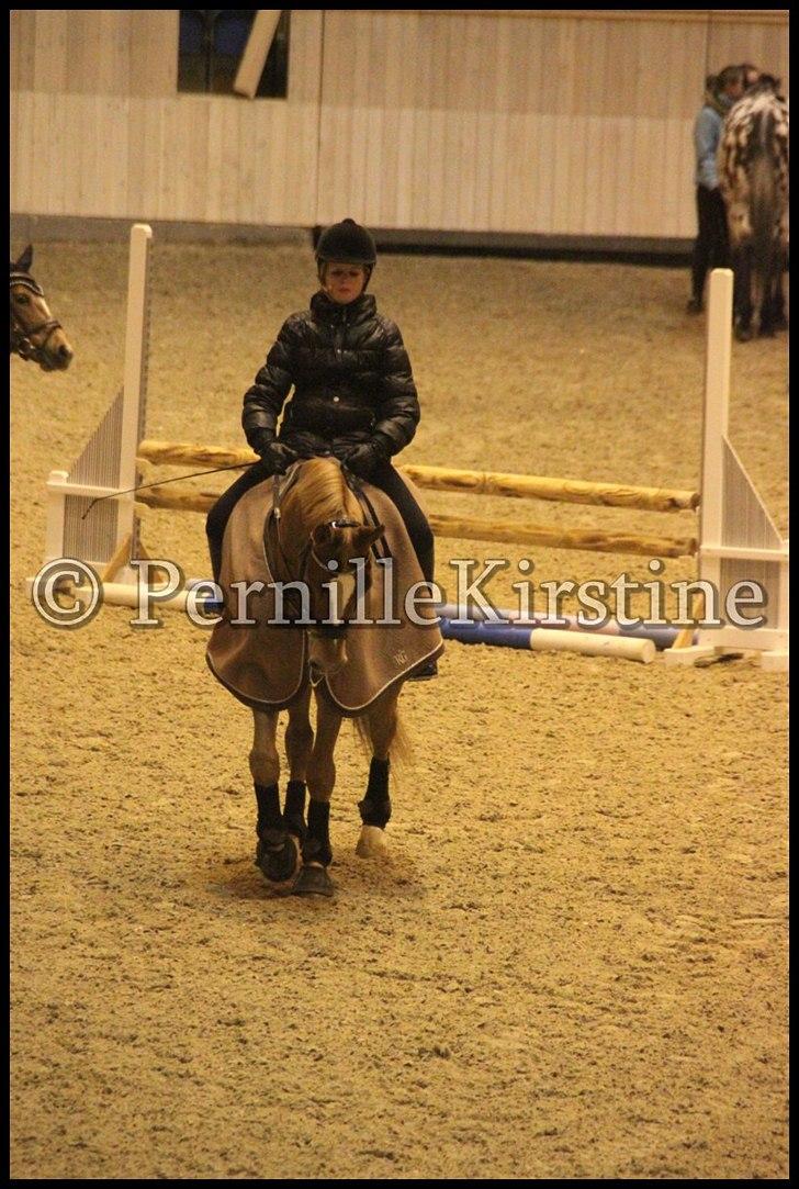 RAMASJANG LIVE PÅ VILHELMSBORG .. billede 265