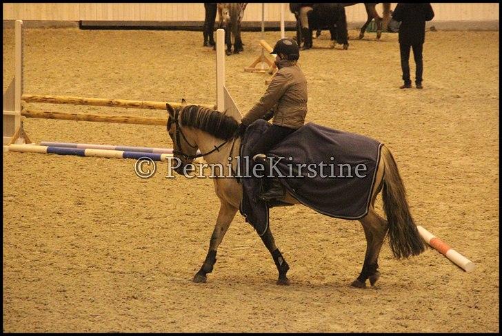 RAMASJANG LIVE PÅ VILHELMSBORG .. billede 266