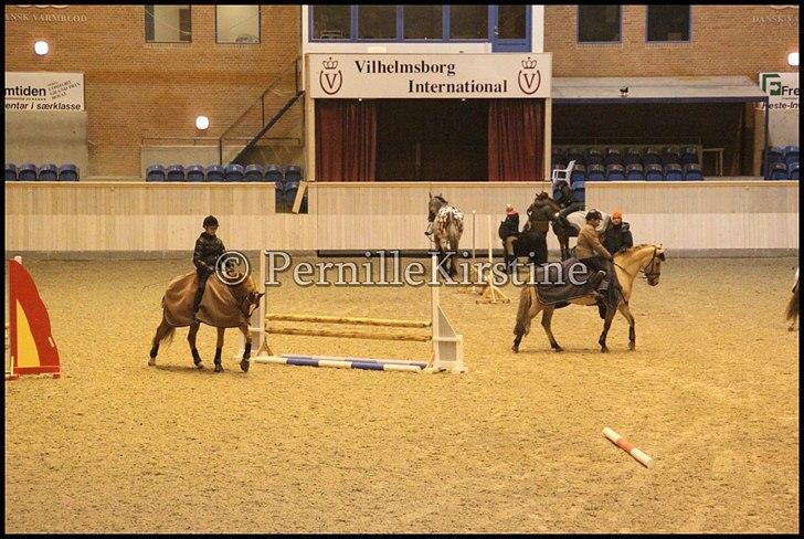 RAMASJANG LIVE PÅ VILHELMSBORG .. billede 267