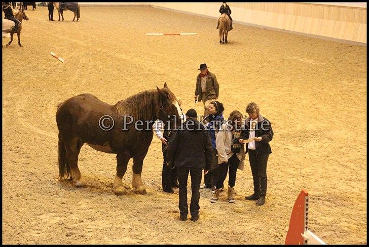 RAMASJANG LIVE PÅ VILHELMSBORG .. billede 269