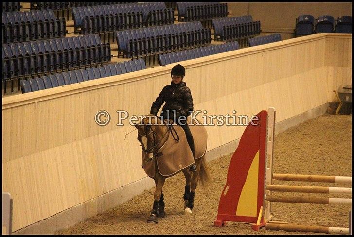 RAMASJANG LIVE PÅ VILHELMSBORG .. billede 270