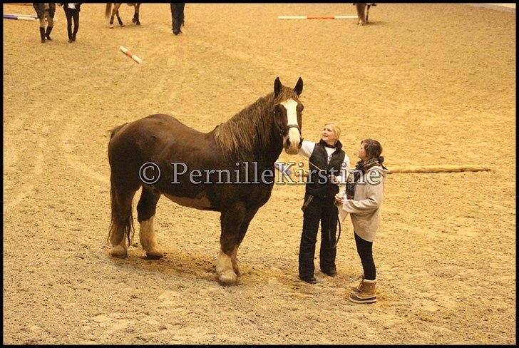 RAMASJANG LIVE PÅ VILHELMSBORG .. billede 271