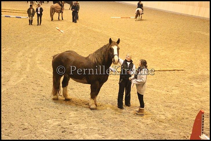 RAMASJANG LIVE PÅ VILHELMSBORG .. billede 272