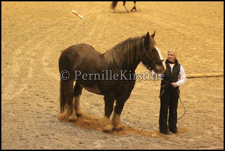 RAMASJANG LIVE PÅ VILHELMSBORG .. billede 273