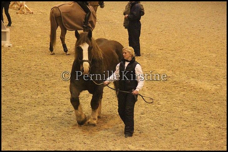 RAMASJANG LIVE PÅ VILHELMSBORG .. billede 274