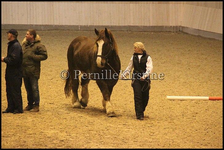 RAMASJANG LIVE PÅ VILHELMSBORG .. billede 275